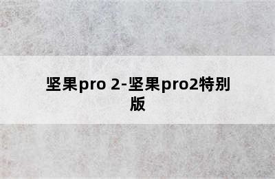 坚果pro 2-坚果pro2特别版